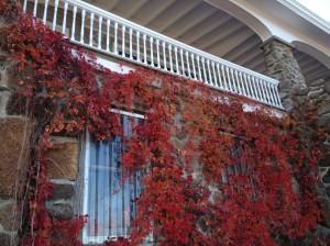 Milne House, Rowley Shore, Lanesville, MA